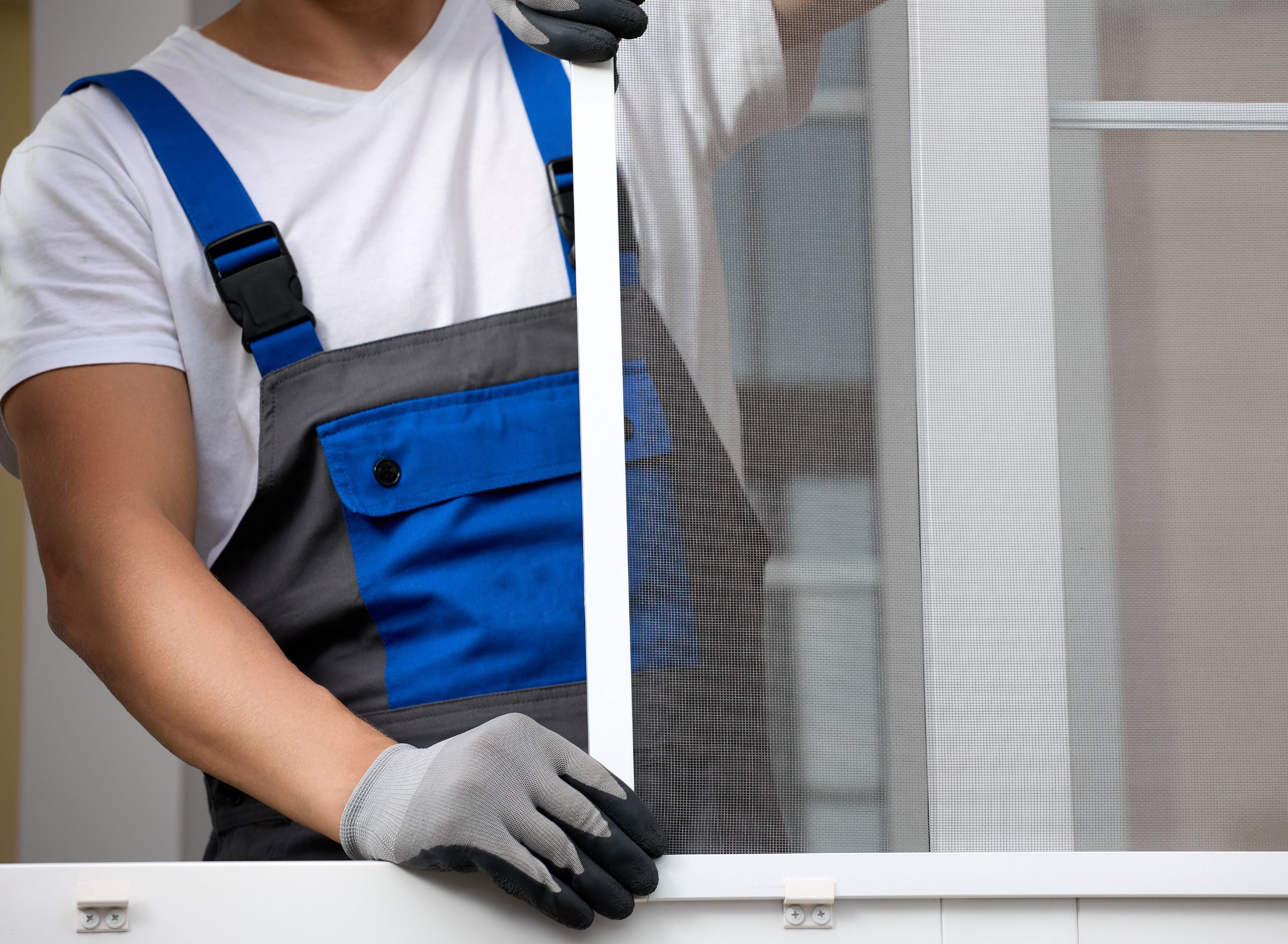 Lámina desplegada y mosquiteros